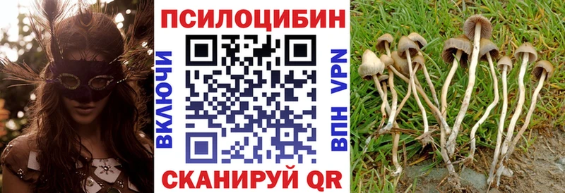 Галлюциногенные грибы прущие грибы  цена   Невьянск 
